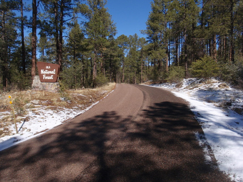 Hwy-15 entering the Gila National Forest.